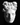 Apollo plaster cast
