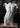 Écorché Male Torso