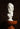 Voltaire Bust