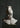Bust of Achilles