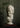 Voltaire Bust